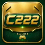 C222 Game